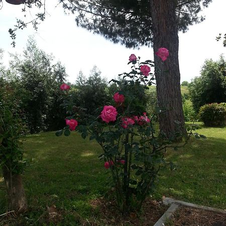 La Finestra Sul Cortile Pomezia Exterior foto