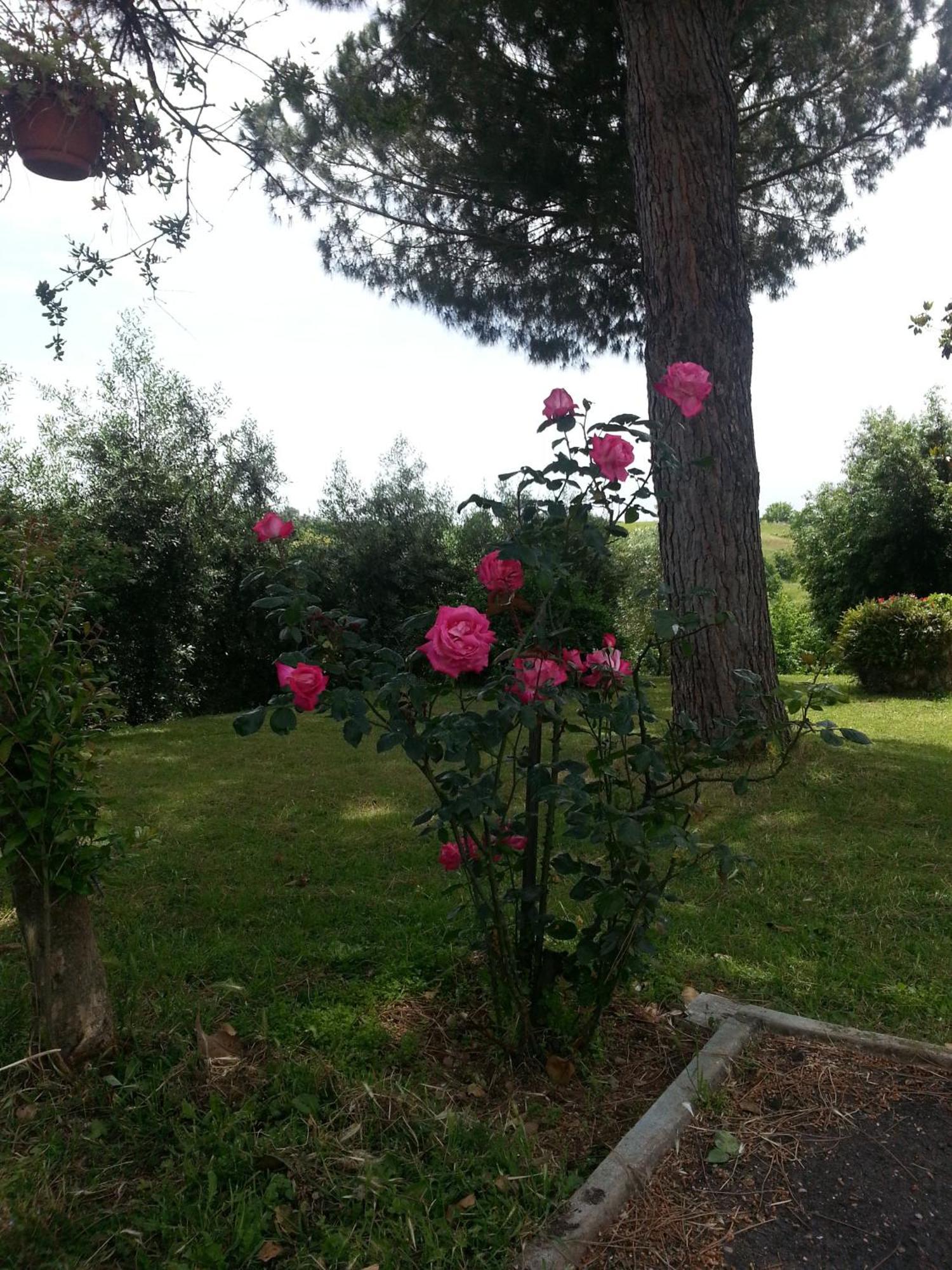 La Finestra Sul Cortile Pomezia Exterior foto