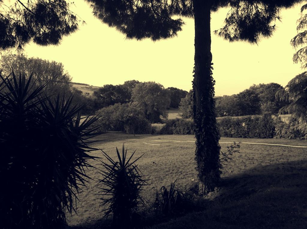 La Finestra Sul Cortile Pomezia Exterior foto